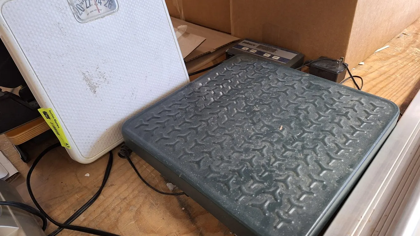 Pelouze 4010 150 lb. Scale with Other Scale
