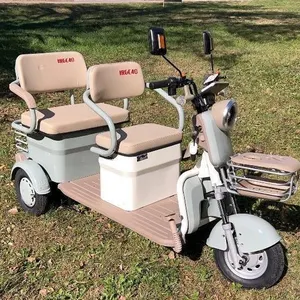Mini Electric Tricycle Golf Cart Model IRGC40 ( Color Blue) ASSEMBLED~New!
