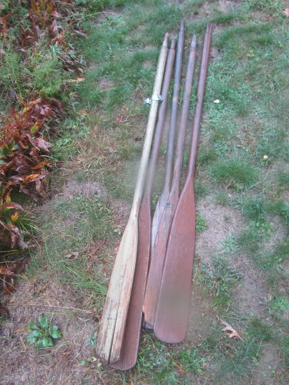 (5) Boat Oars
