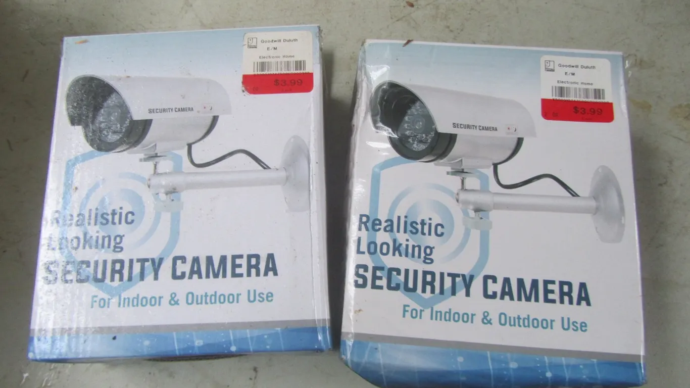 (2) Realistic Looking Security Cameras