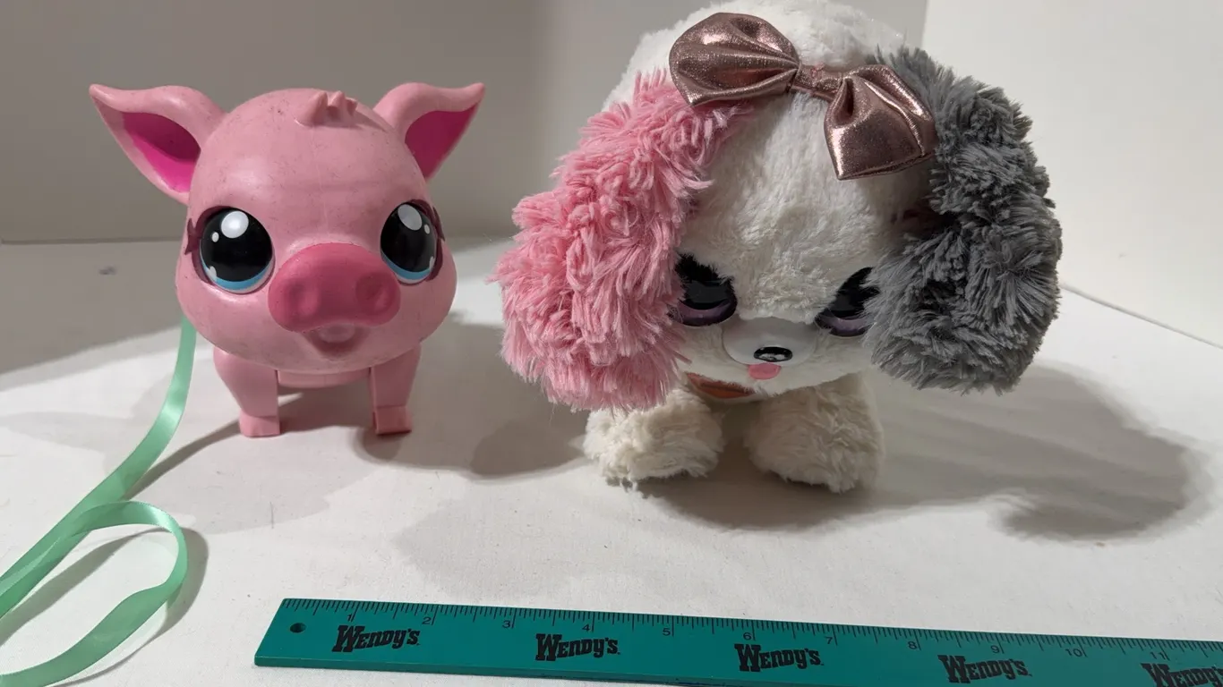 Pets Fancy Puppy and Little live pets My Pig