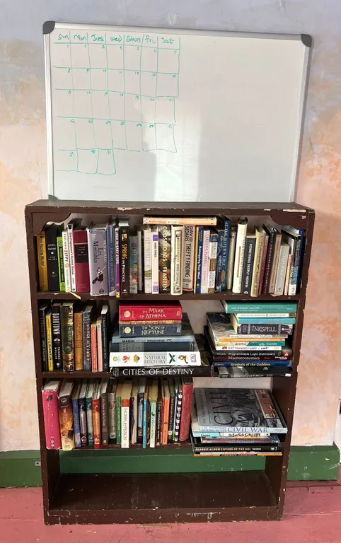 Books & Bookcase Set, Assorted Titles