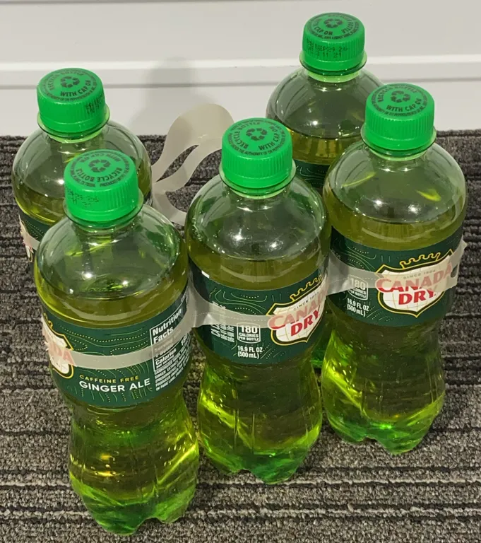 *NEW* Canada Dry Ginger Ale, 16.9 fl oz Each, 5 Pack - Best By: 9/2026