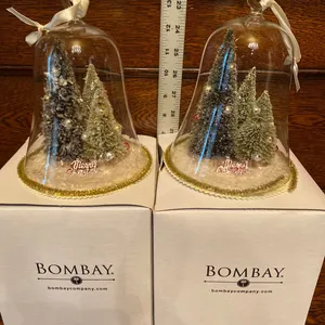 Bombay Company Glass Christmas Tree Domes