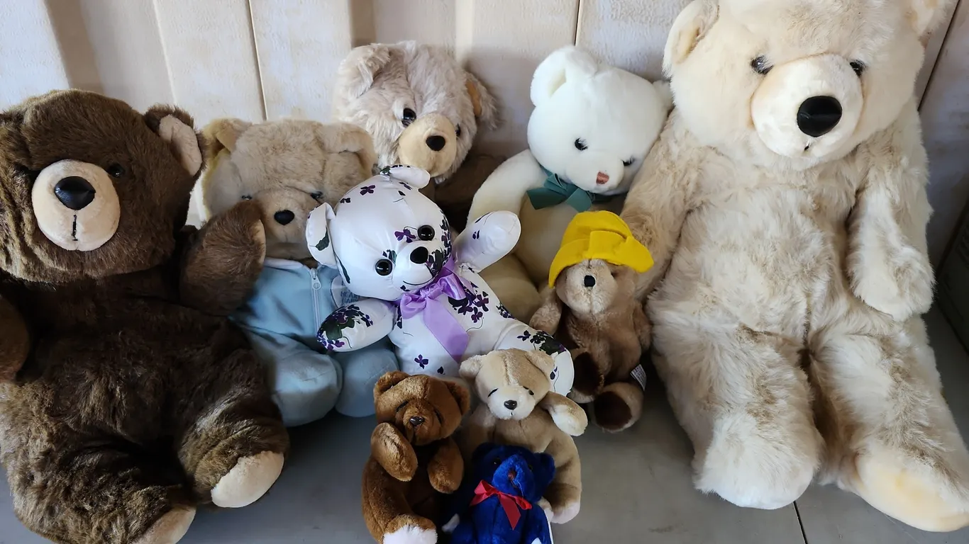 Assorted Plush Teddy Bears