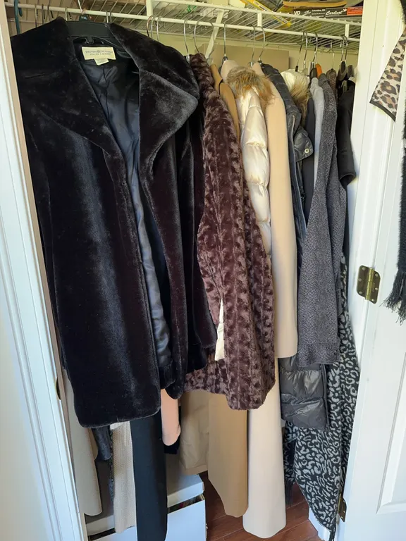 Coat closet clean out
