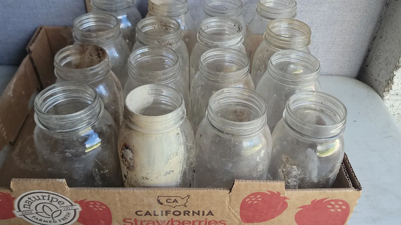 16 Vintage 1 Qt. Unmarked Glass Jars