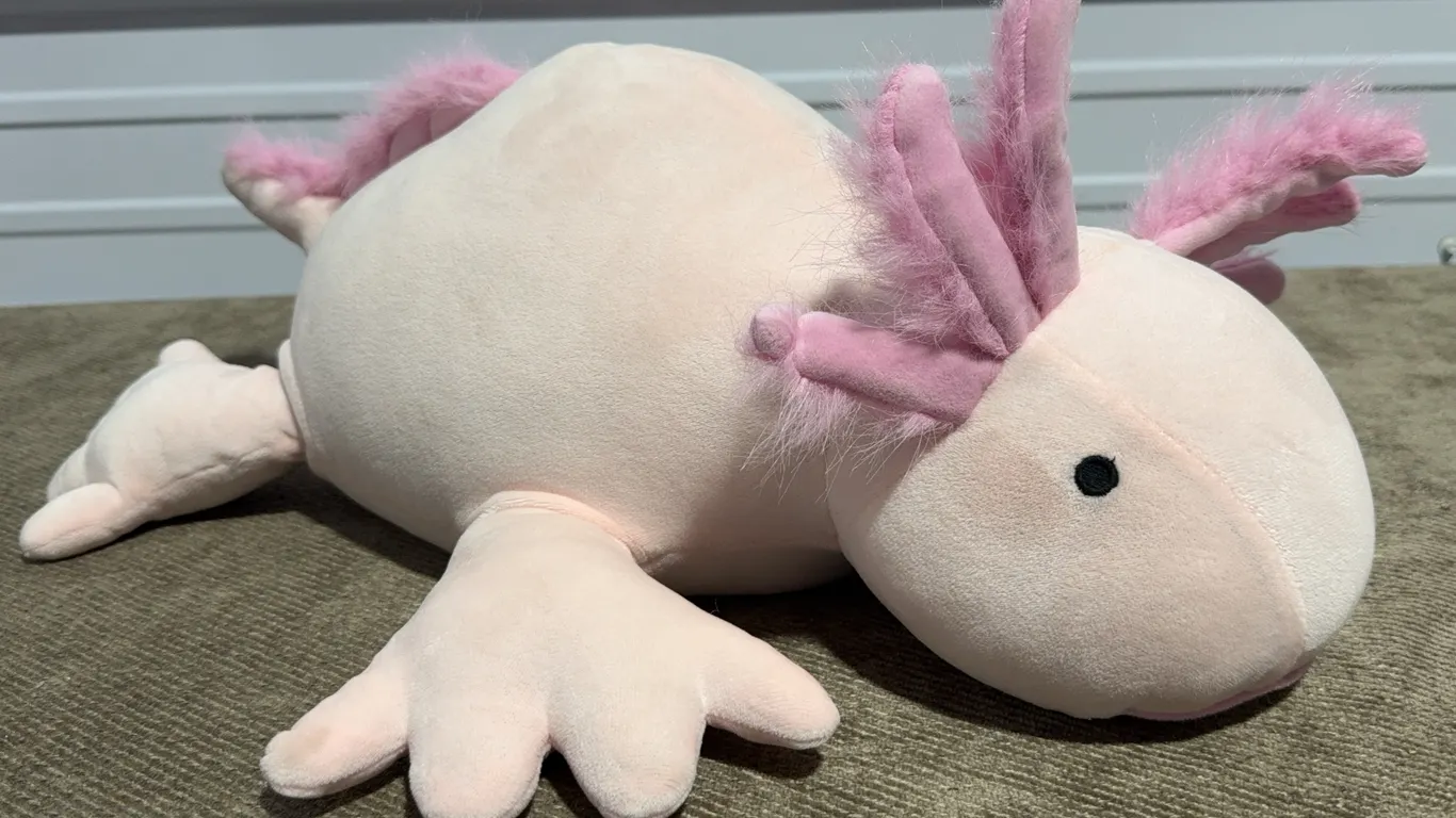 *NEW* Pillowfort Axolotl Weighted Plush Kids' Throw Pillow Light Pink