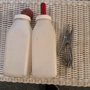 Calf Bottles and Banding Gun