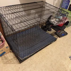 Large Dog Cage