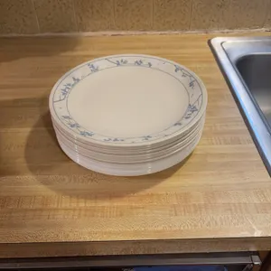 Dining Plates