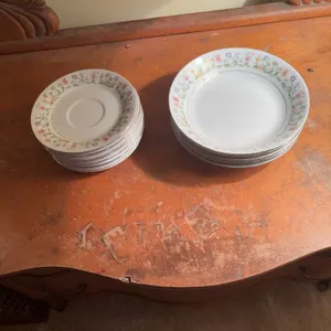 Small dining plates