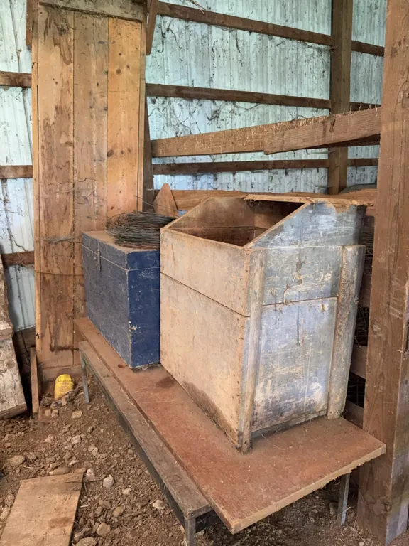 Food bins and storage box