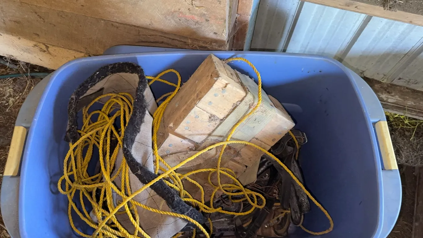 Bin of horse tackle