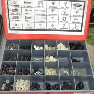 Body fastener assortment and case.