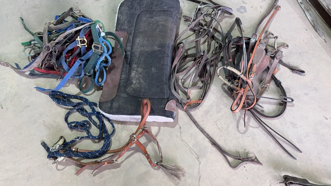 Assorted Tack