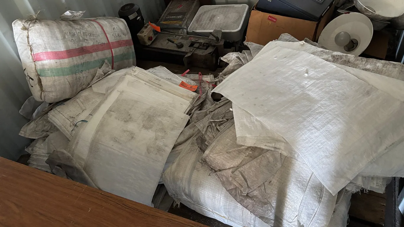 Large Quantity of Vinyl Bags