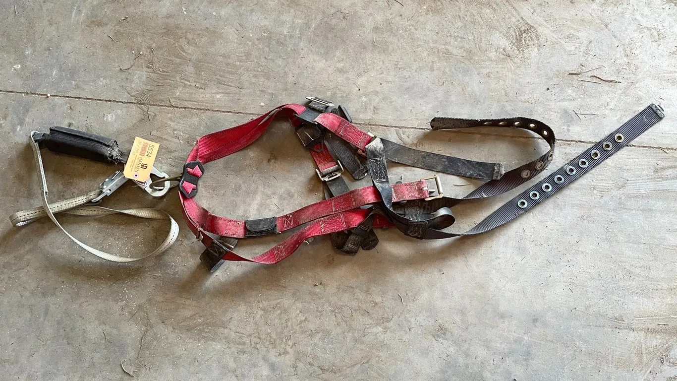 Safety Harness