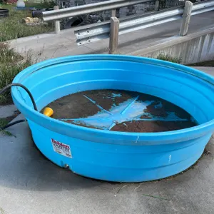 Behlen 8' Ploy Stock Tank