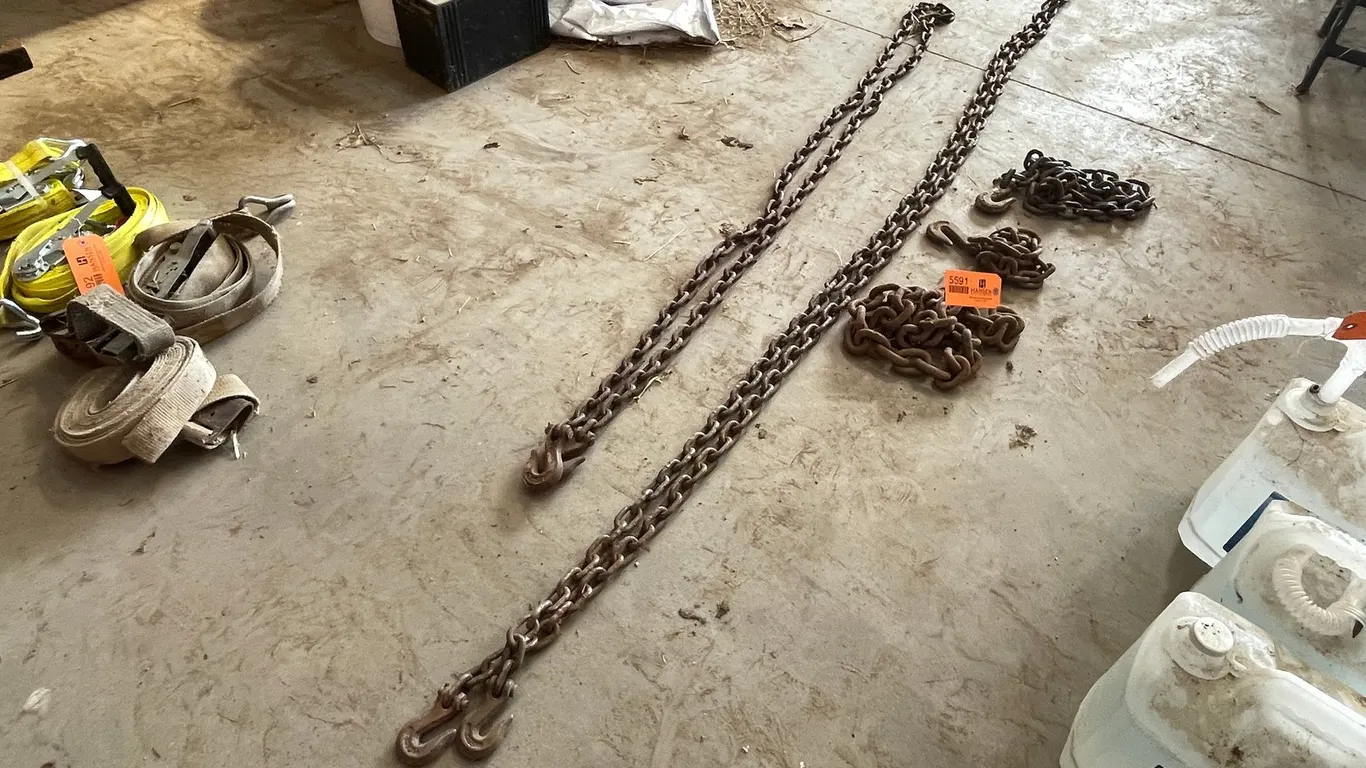 Assorted Log Chains