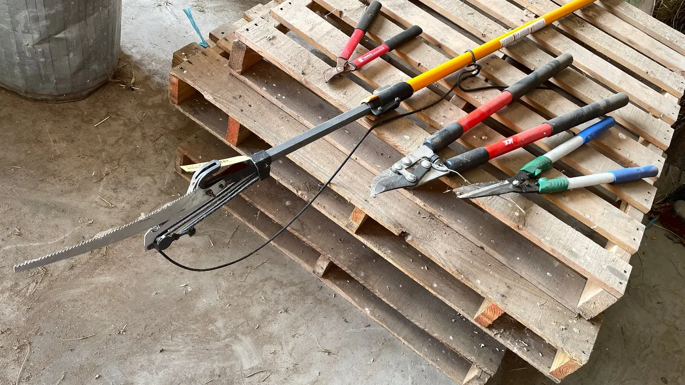 Limb Saw and Yard Purners