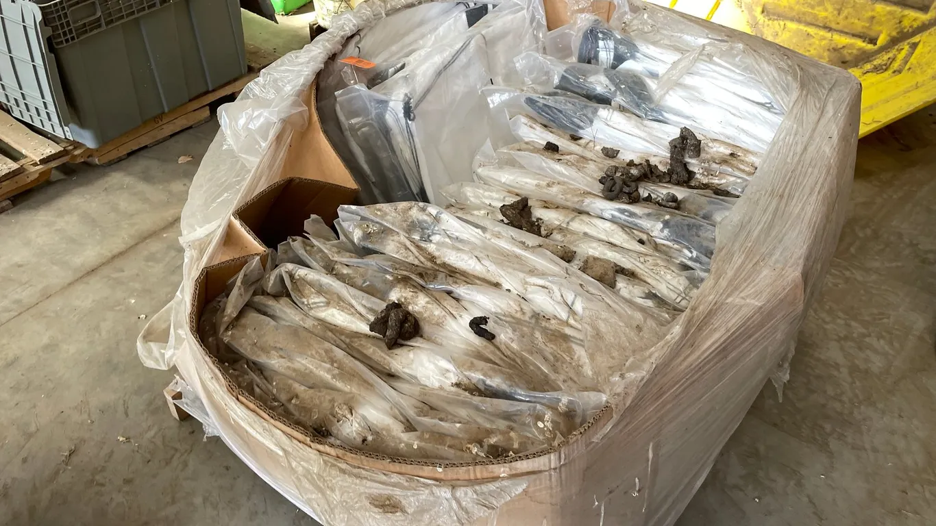 (22) Bulk Bags