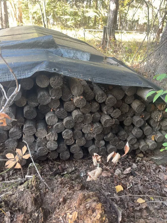 Approx. 200 8'x2.5" Wooden Landscaping Dowels
