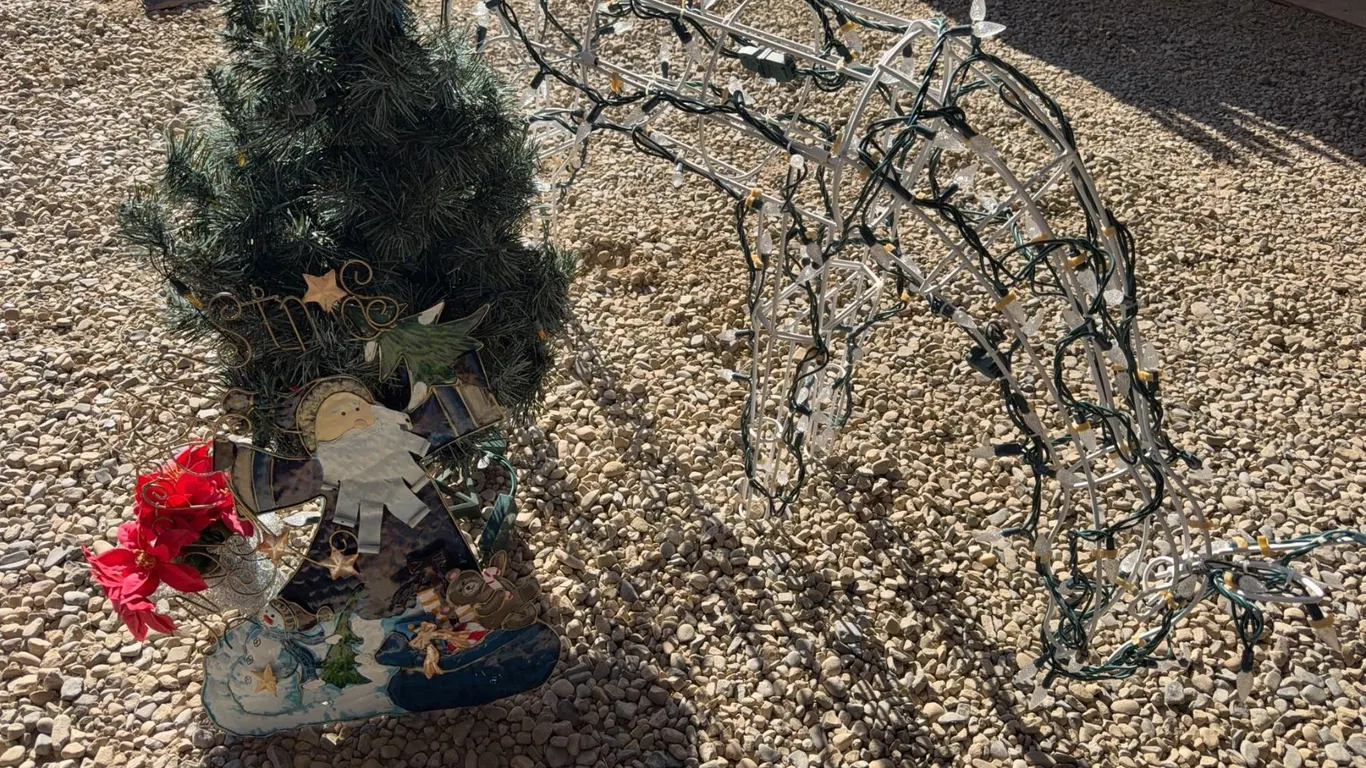 Christmas Yard Decor: Tree, Santa, Lighted Reindeer