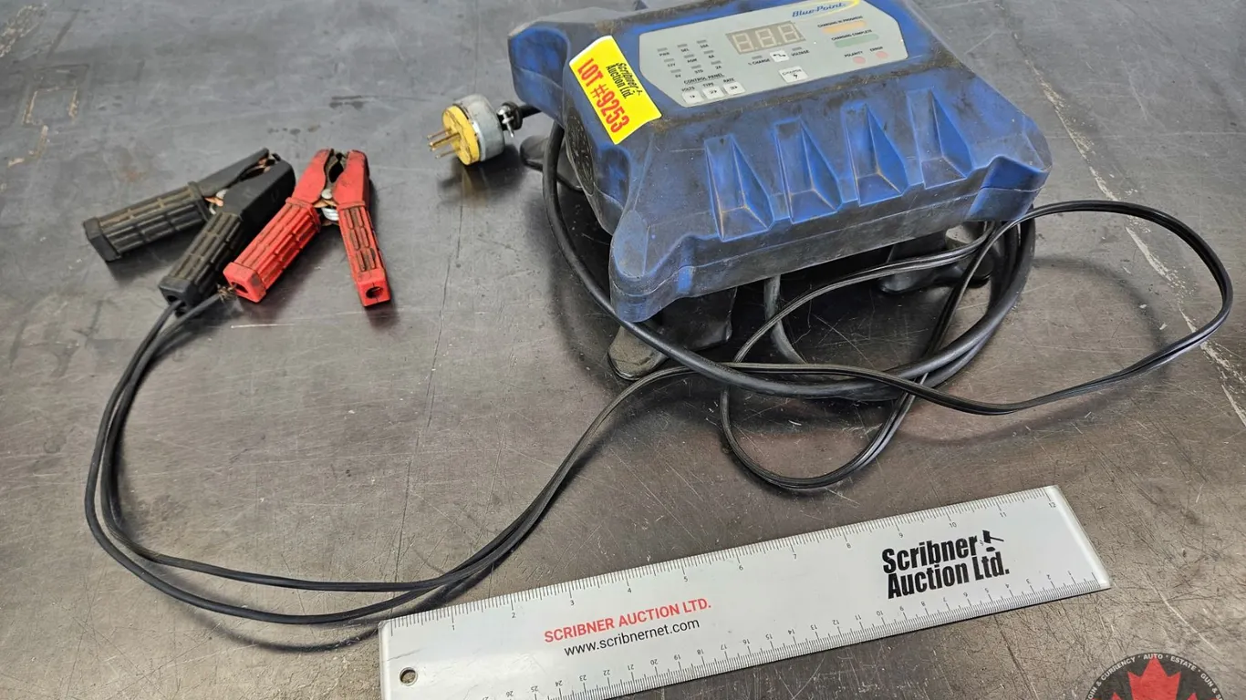 Blue-Point 6/12V Battery Charger