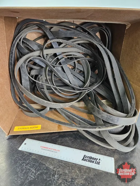 Assorted V-Belts & Serpentine Belts
