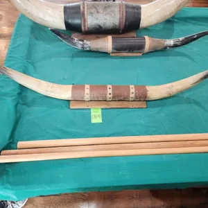 Mounted Steer Horns w/ Leather Wrapped Accents