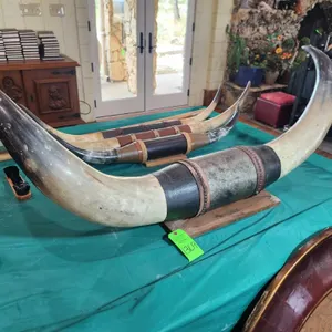 Ankole Watusi Mounted Steer Horns & Wrapped Leather Accents
