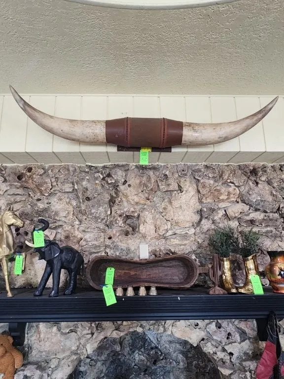 Ankole Watusi Mounted Steer Horns & Wrapped Leather Accents