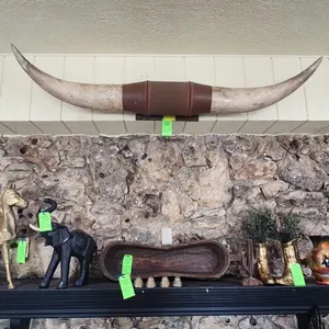 Ankole Watusi Mounted Steer Horns & Wrapped Leather Accents