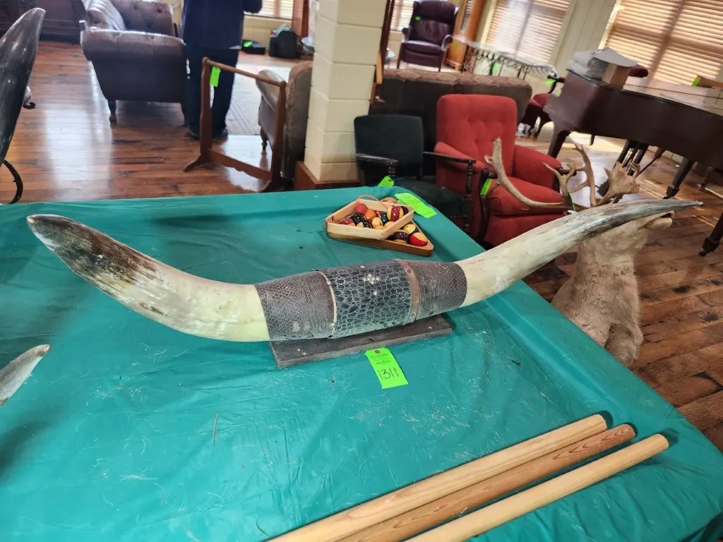 Longhorn Mounted Horns w/ Leather Wrapped Accents