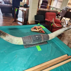 Longhorn Mounted Horns w/ Leather Wrapped Accents