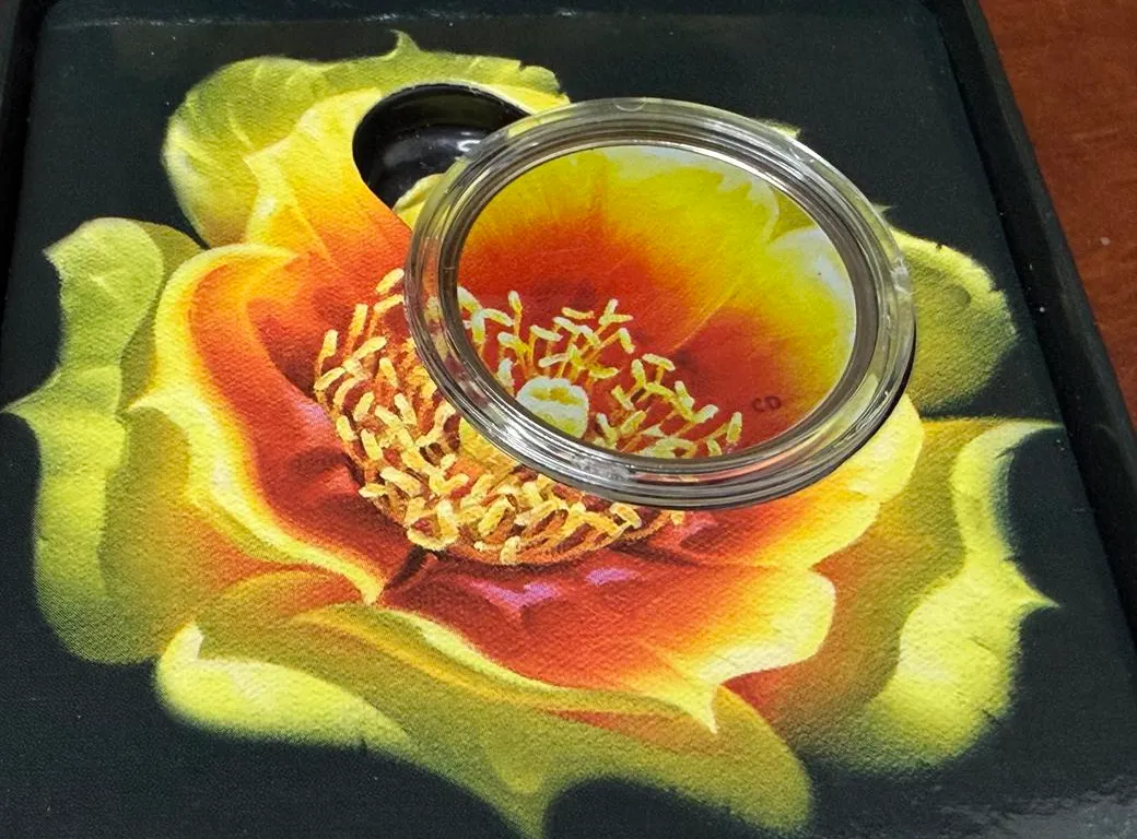 2013 Cdn Quarter Prickly Pear Cactus