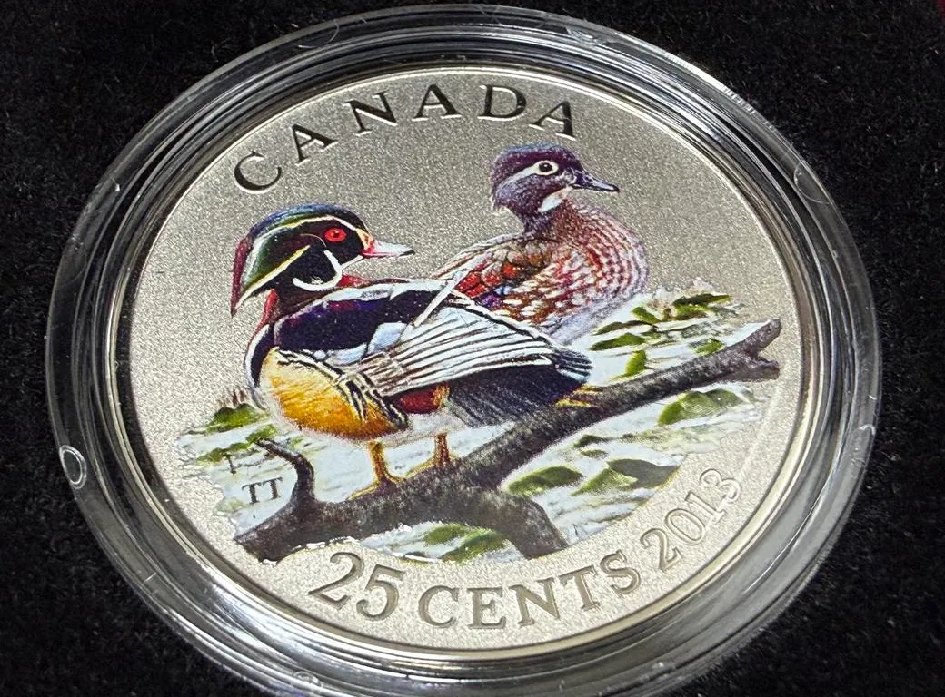 2013 Cdn Quarter Wood Duck