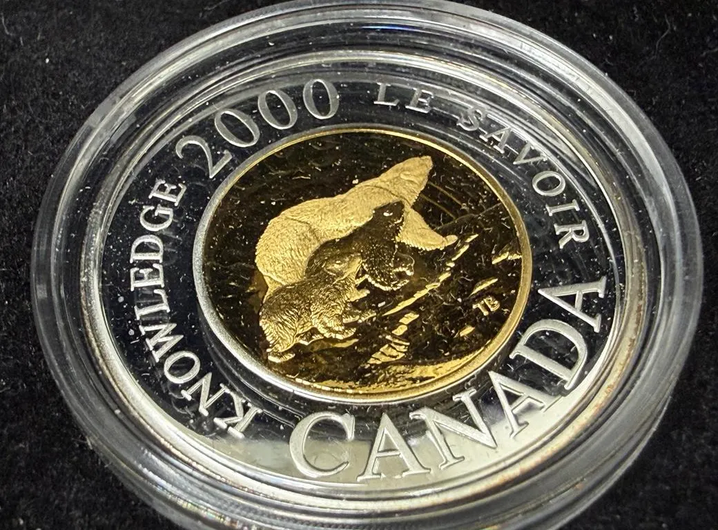 2000 Polar Bears Sterling Silver Proof $2 Coin