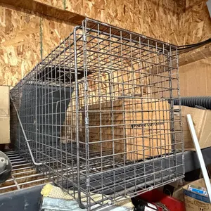 Traps and Cages *See Pictures **This item SOLD LIVE ON-SITE ONLY!!