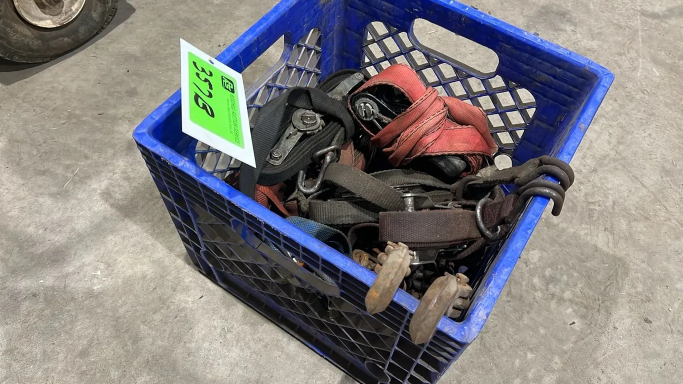 Large Assortment of Ratchet Straps