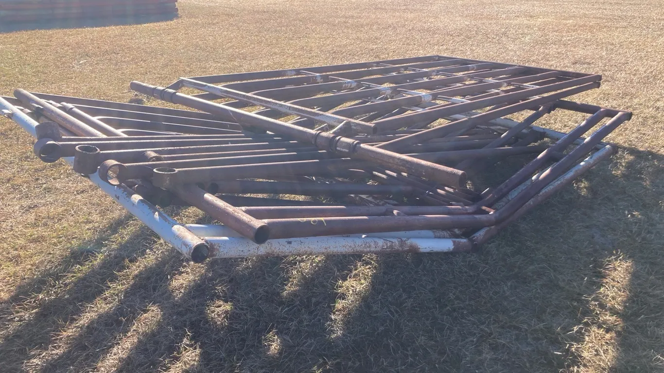 Heavy Duty Corral Sorting System with Gates