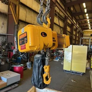 Harrington 2 Ton Electric Chain Hoist