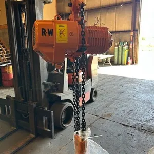 R.W. 2 Ton Capacity Electric Chain Hoist