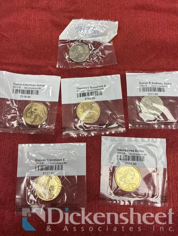 VARIETY OF DOLLAR COINS