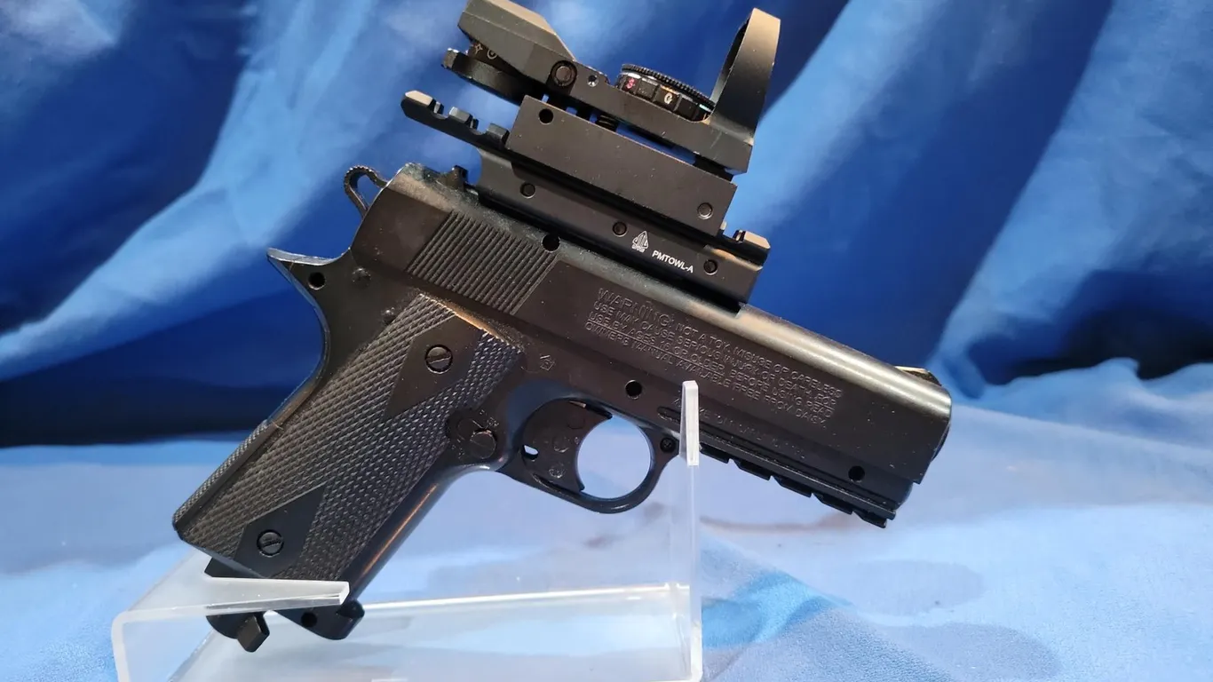 DAISY .177 BB GUN WITH SIGHT