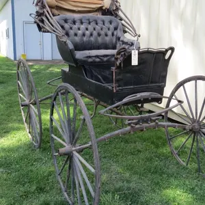 Doctors Buggy