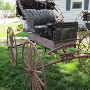 Horse Drawn Doctors Buggy