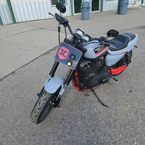 2009  Harley-Davidson  XR 1450  Motorcycle