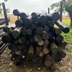 Wood Post And Stand